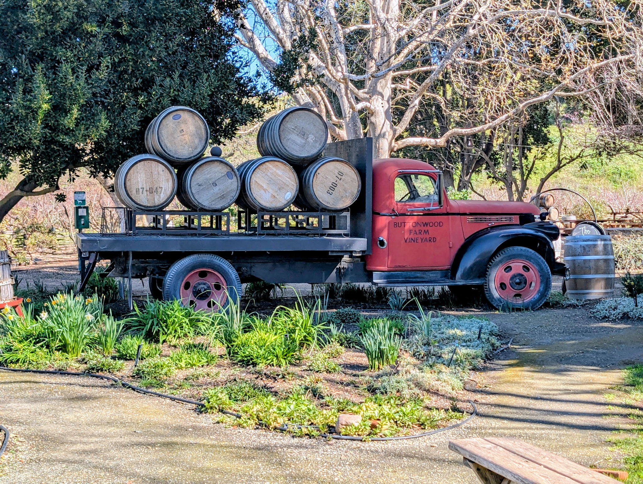 The birthday steak at Mad and Vin in Solvang